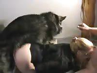 Caledonian: Fat slut having anal dog sex at home