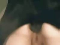 Black dog makes owner moan in homemade bestiality video