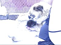 Dino's outdoor dog sex adventure