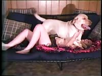 Dog misses having dog sex with owner