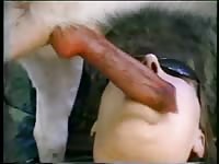 Bestiality animal sex with dog penis