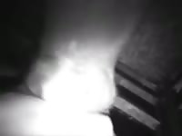 Calf blows gaybeast com [ Girls Fucked by Pet ]