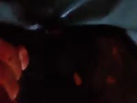 Calf sex gaybeast com [ Beastiality Sex With Girl ]