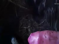 Calfss gaybeast com [ Zoophilia lust ]
