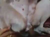 Cam and Girl gaybeast com [ Animal Woman ]