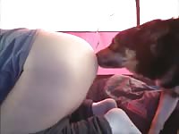 Camping gaybeast com [ Beastiality Porn Video With Woman ]