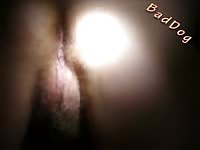 BadDog: Dog fucks tight pussy in homemade dog porn