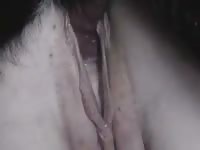 Shawn getting rapid fucked by horny dog in zoophilia porn