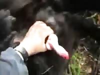 Certmast Gaybeast - Zoo Xxx Porn Video
