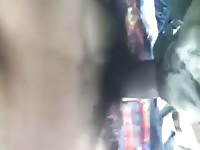 Chihuahua Mix Gay Beast Com - Beastiality Sex Porn