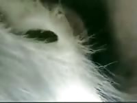 Chinese Have Sex And Ewe Gay Beast Com - Bestiality Porn Movie