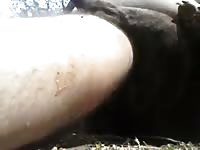 Chub Fucks Girl Hard Gaybeast - Animal Porn