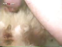 Clip Dog Fuck 002