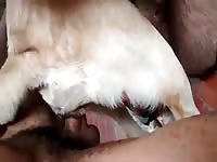 Clip Dog Fuck 004