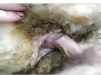 Cock Fuck Sheep Gay Beast Com - Beastiality Sex Porn Movie