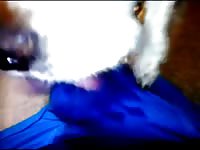 Cocker Sucking Cum Through Blue Underwear Gaybeast.Com - Beastiality Sex Porn Video