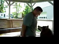 Cody And Zoojay The Humping Re Post Zoojay Husky 100 1105