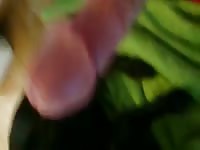 Coming On Top 1 Gaybeast - Beastiality Sex Tube