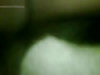 Comming In Gay Beast Com - Beastiality Sex Video