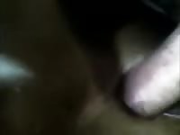 Cow Fuck 2 Gay Beast Com - Bestiality Sex Movie