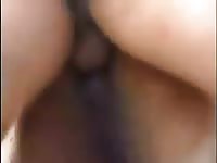 Cowboy Fucking His Donkey Gaybeast Rip - Animal Sex Tube