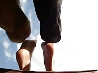 Cows Licking Feet Part 2 Gaybeast - Beastiality Sex Movie