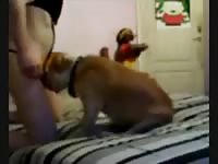 Crossed Dressed Male Gaybeast - Bestiality Porn