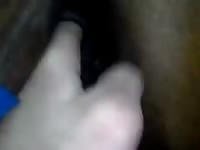 Cum On Her Pussy 2 Gaybeast - Bestiality Porn Movie