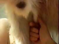 Cum On Me Gaybeast.Com - Animal Porn