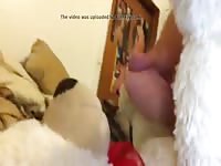 Cum On Ted Gaybeast - Bestiality Sex Tube