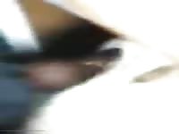 Cuming Inside Gay Beast Com - Animal Sex Movie