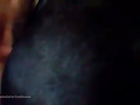 Dad Shows His Sons How To Fuck A Mare Gaybeast.Com - Beastiality Sex Tube