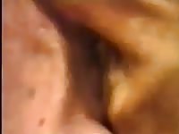 Dane Pussy 4 Gaybeast Rip - Animal Sex Movie