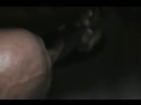 Davel 1 Mpeg4
