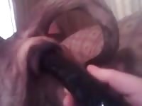 Deep Girl Gaybeast.Com - Animal Porn Video