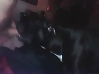 Deep Throat Gaybeast Rip - Beastiality Porn Video