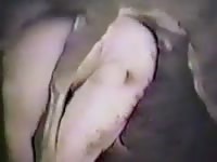 Deer Humps Man