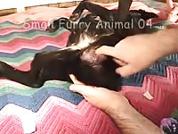Dildo In A Woman 4 Gay Beast Com - Beastiality Sex