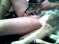 Diva Giving Bj 1 Gay Beast Com - Animal Sex Video
