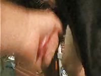 Doberman Anal Action Gaybeast Rip - Beastiality Porn Movie