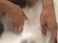 Docking Husky 2 Gaybeast - Bestiality Sex Tube