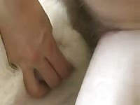 Docking Other Husky Gaybeast.Com - Beastiality XXX Porn Video