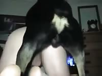 Dog 11 Gaybeast Rip - Beastiality XXX Porn Video