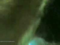 Dog 2 Gaybeast - Animal Porn