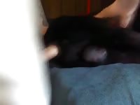Dog 40 Gaybeast.Com - Animal Sex Tube
