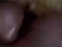 Dog Anal 3 Gaybeast - Animal Porn Tube