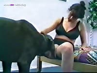 Dog Animal Zoo Vol 105