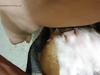 Dog Fuck 1 1 Gaybeast.Com - Beastiality Sex Video