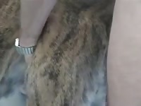 Dog Fuck 13 Gay Beast Com - Beastiality XXX Porn Movie