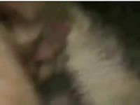 Dog Fuck 18 Gaybeast - Animal Porn Movie
